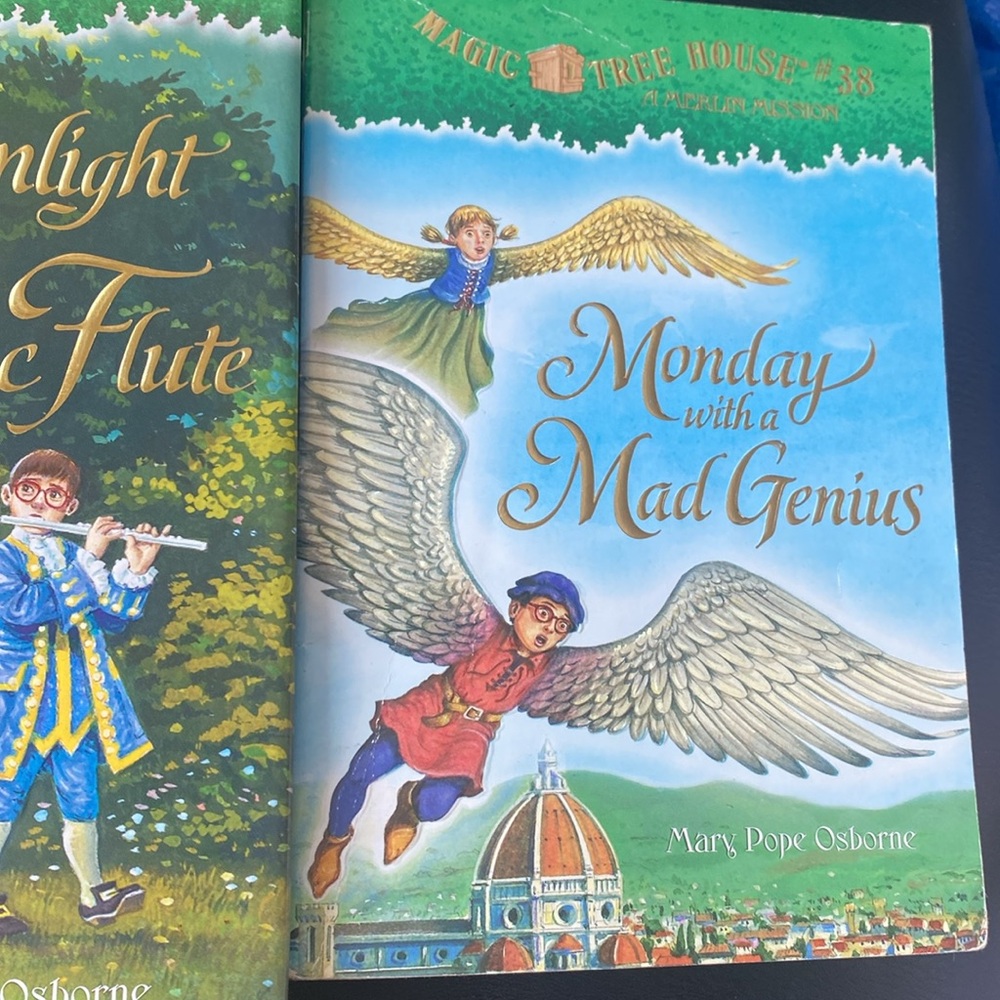 Magic Tree House Books Set - Picture 3 of 4